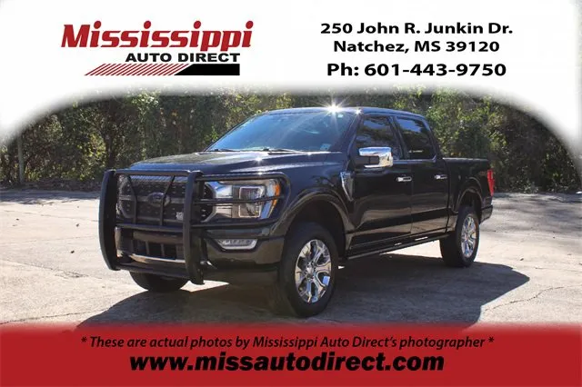 2023 Ford F-150 Platinum's photo